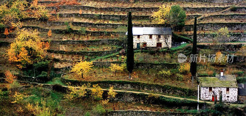 西班牙加利西亚的Ribeira sacra葡萄园和秋天的小酒窖。